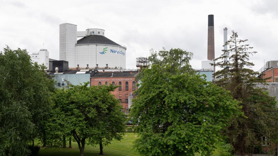 Case: Digitalisering skal gøre 200.000 tons sukker billigere hos Nordic Sugar