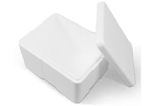 Coolsafe box 400x300x247 mm