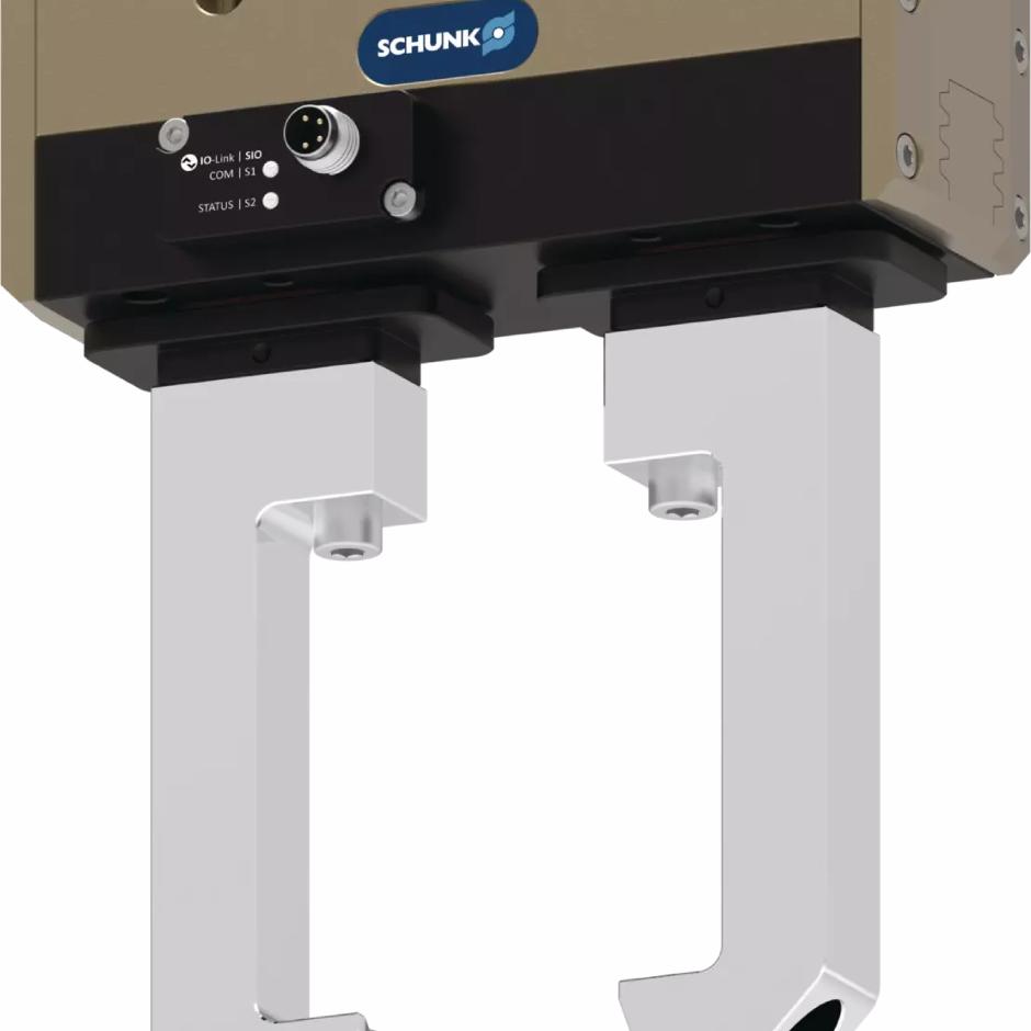 PGL-Plus-P